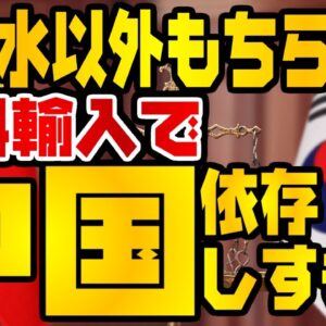 韓国仰天ニュース！尿素水以外にも割とやばい韓国のサプライチェーン問題【ゆっくり解説】