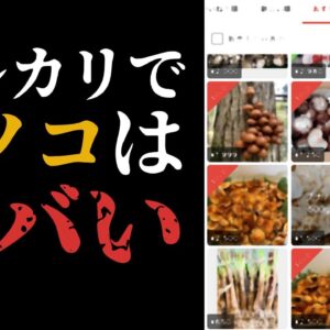 【ゆっくり解説】フリマサイトにキノコ！？絶対ヤバいって！！！