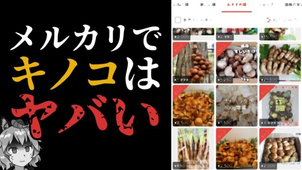 【ゆっくり解説】フリマサイトにキノコ！？絶対ヤバいって！！！