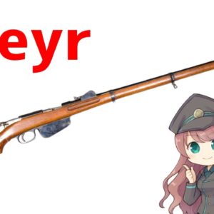 【武器解説】シュタイヤー・マンリヒャー、エンブロックとストレートプル