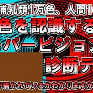 【ゆっくり解説】これがみえたらスーパービジョン能力者かもしれません。1億色を認識するスーパービジョンと診断テスト