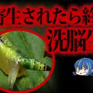 【ゆっくり解説】宿主をゾンビ にする。恐怖の洗脳寄生生物10選