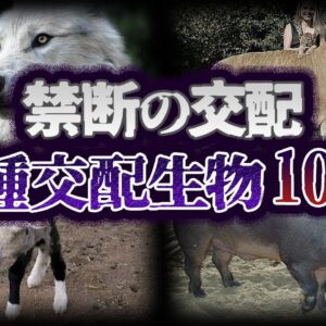 【ゆっくり解説】闇が深すぎる。禁断の異種交配生物10選