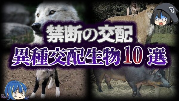 【ゆっくり解説】闇が深すぎる。禁断の異種交配生物10選