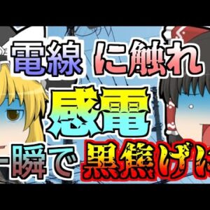 【1987年】電柱を引き抜こうととしてクレーンを移動させた瞬間 地上の二人が黒焦げに...【ゆっくり解説】