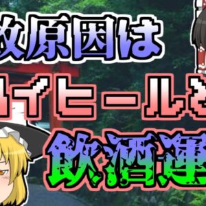 【1997年】初詣帰りの女子大生 ハイヒール運転で足が滑り…【ゆっくり解説】