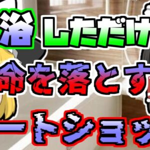 【2000年】お風呂に入っただけなのに…幸せな家庭が一瞬にして悲劇に「ヒートショック事故」【ゆっくり解説】