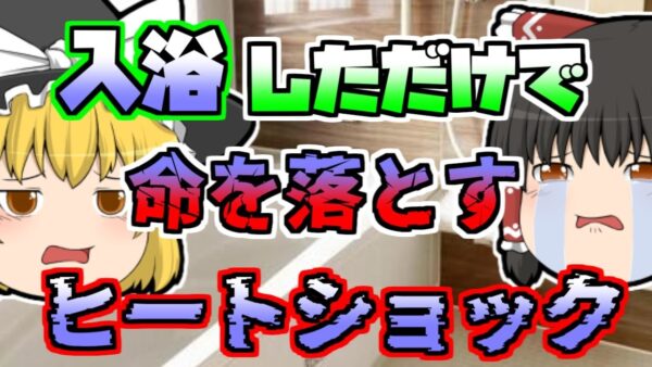 【2000年】お風呂に入っただけなのに…幸せな家庭が一瞬にして悲劇に「ヒートショック事故」【ゆっくり解説】