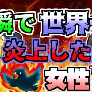 【2013年】たった一言の「つぶやき」で、世界一炎上してしまった女性「ツイッター炎上事件」【ゆっくり解説】