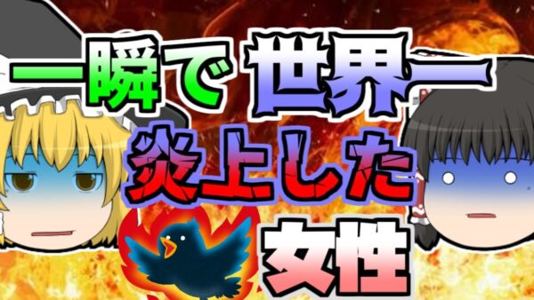 【2013年】たった一言の「つぶやき」で、世界一炎上してしまった女性「ツイッター炎上事件」【ゆっくり解説】