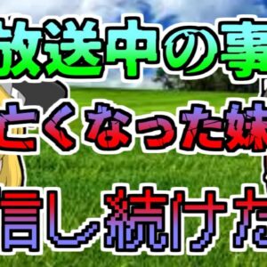 【2017年】飲酒手放し運転生放送中　車が横転 同乗していた妹が亡くなるも、その様子まで放送した姉...「生放送少女飲酒運転事故」【ゆっくり解説】