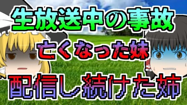 【2017年】飲酒手放し運転生放送中　車が横転 同乗していた妹が亡くなるも、その様子まで放送した姉...「生放送少女飲酒運転事故」【ゆっくり解説】