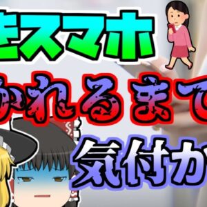 【2021年】どうしてそんなことを…踏切の中で電車に跳ねられるまで立ち尽くしていた女性 【ゆっくり解説】