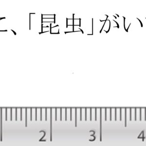 【ゆっくり解説】#21 世界一小さな昆虫、知ってる？(PC視聴推奨)