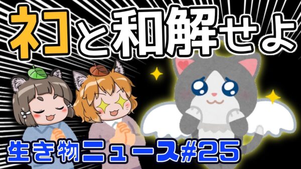 【ゆっくり解説】猫スペシャル回！ネコは自らペットになった？飼い主を無視してるってホント？ネコの常在菌が皮膚病を防ぐ！？【生き物ニュース#25】