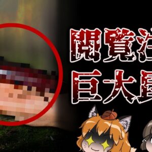 【ゆっくり解説】ゾクゾクする…閲覧注意な巨大昆虫7選