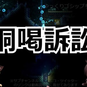 【ゆっくり解説】81 難題「誹謗中傷対策」と「権利の濫用」後編