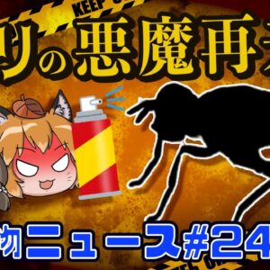 【ゆっくり解説】8ミリの悪魔ミバエが再来！？ペットのマイクロチップ装着が2022年6月義務化へ【生き物ニュース#24】