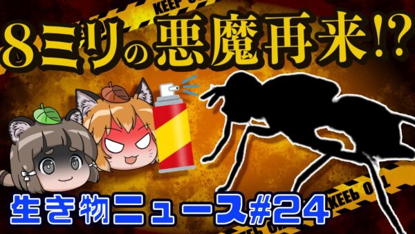 【ゆっくり解説】8ミリの悪魔ミバエが再来！？ペットのマイクロチップ装着が2022年6月義務化へ【生き物ニュース#24】