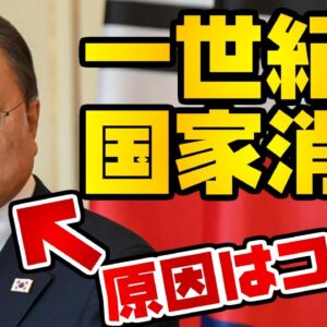 韓国仰天ニュース！国家自然消滅の発起人、文在寅大統領【ゆっくり解説】