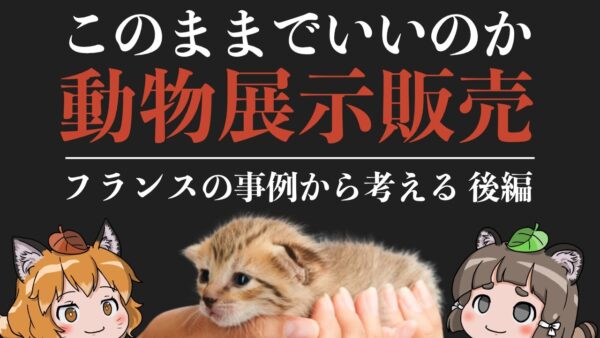 【ゆっくり解説】ペットショップの展示販売禁止！？フランスの事例から考える動物の衝動飼い問題（後編）