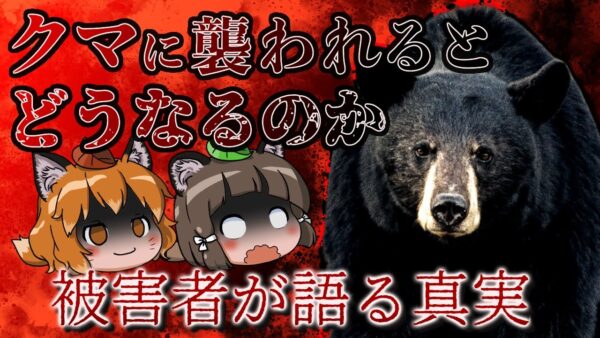 【ゆっくり解説】「岩のようだった…」クマに襲われた被害者が語る本当の恐ろしさ（前編）