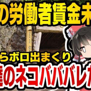 韓国報道、今度は佐渡金山で朝鮮人労働者支払い未納云々言い出す【ゆっくり解説】