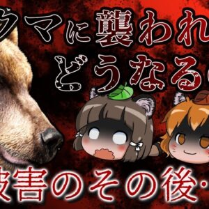 【ゆっくり解説】「アレさえあれば…」クマに襲われた被害者が語る本当の恐ろしさ（後編）