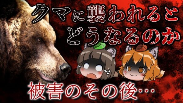 【ゆっくり解説】「アレさえあれば…」クマに襲われた被害者が語る本当の恐ろしさ（後編）