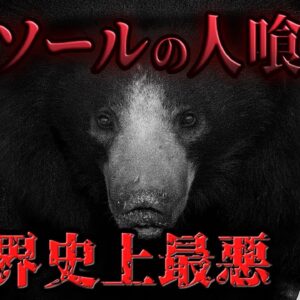 【ゆっくり解説】世界史上最悪のクマ獣害事件「マイソールの人喰い熊」の恐怖