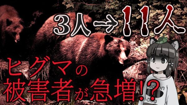【ゆっくり解説】ヒグマ被害が観測史上最多に！？今北海道で何が起きているのか…