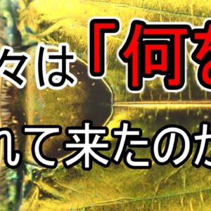 日本は害虫を輸入している！？外国産昆虫ブームの闇