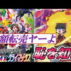 【ゆっくり解説】高額転売ヤーよ　恥と知れ【社会問題】