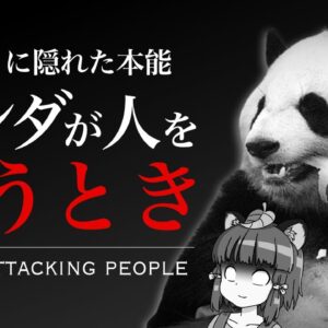 【ゆっくり解説】実は恐ろしいパンダの獣害｜人間を襲った「グーグー」の悲劇