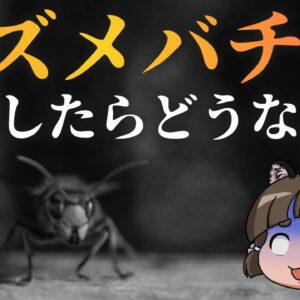 【ゆっくり解説】スズメバチが絶滅したら地球はどうなる？