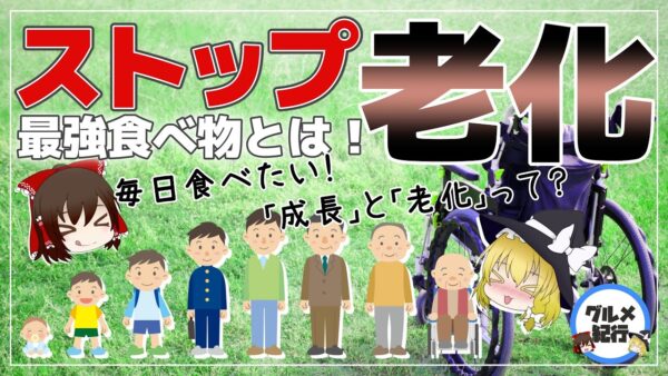 【ゆっくり解説】老化をストップ？毎日食べたくなる老化を防ぐ最強の食べ物について