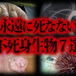 【ゆっくり解説】実在する不死の生物７選