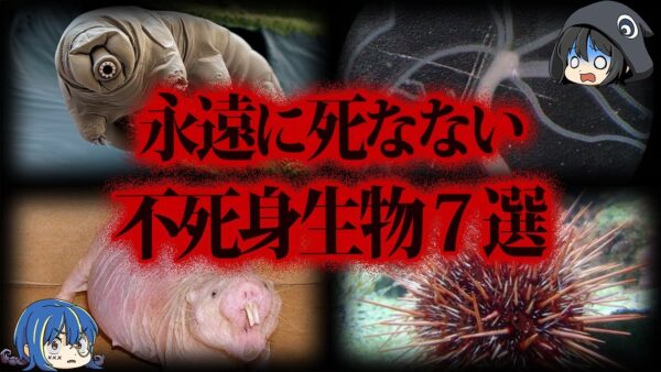 【ゆっくり解説】実在する不死の生物７選