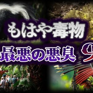 【ゆっくり解説】危険な香り...世界の危険な悪臭９選