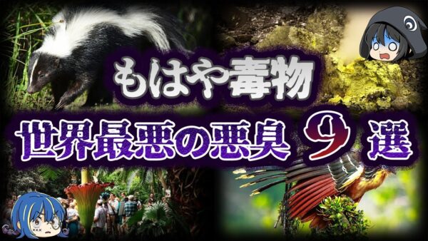【ゆっくり解説】危険な香り...世界の危険な悪臭９選