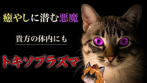 【ゆっくり解説】起業家が多く持つ寄生虫「トキソプラズマ」猫との危険な関係とは…
