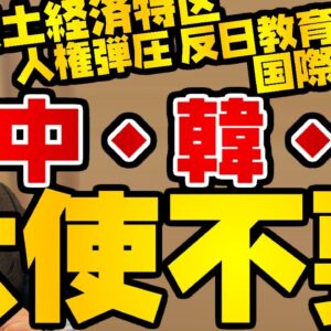 韓国仰天ニュース！中国・韓国・ロシアの大使館は必要なのか【ゆっくり解説】