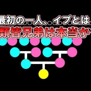 【ゆっくり解説】人類は全員血が繋がっていた？を科学的に解説。原初の一人、イブとは？
