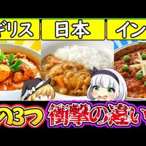 【ゆっくり解説】カレー史上有名なインド・日本・イギリスのカレーの衝撃の違いとは⁉︎その歴史に迫る…