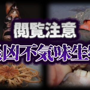 【ゆっくり解説】閲覧注意。最凶に不気味で怖い生物９選