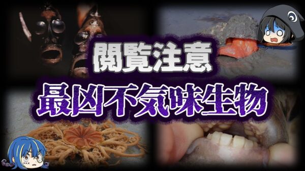 【ゆっくり解説】閲覧注意。最凶に不気味で怖い生物９選