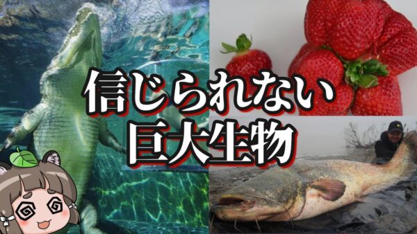 【ゆっくり解説】信じられないサイズの巨大生物10選 -パート2-