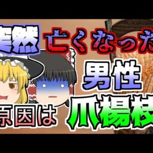 【1966年】お節料理に紛れていた爪楊枝によって命を落とした男性… 【ゆっくり解説】