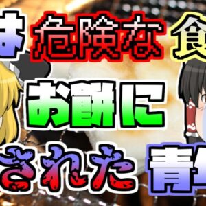 【1999年】地域の伝統を真似し、お餅に〇された青年「すすり餅窒息」【ゆっくり解説】