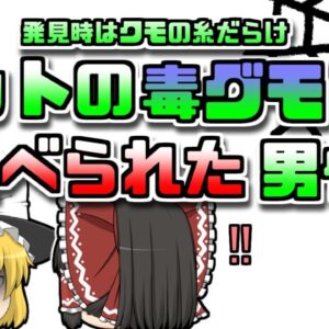【2007年ドイツ】ペットの毒蜘蛛に噛まれ食べられてしまった男性 発見時には蜘蛛の巣に包まれ…【ゆっくり解説】